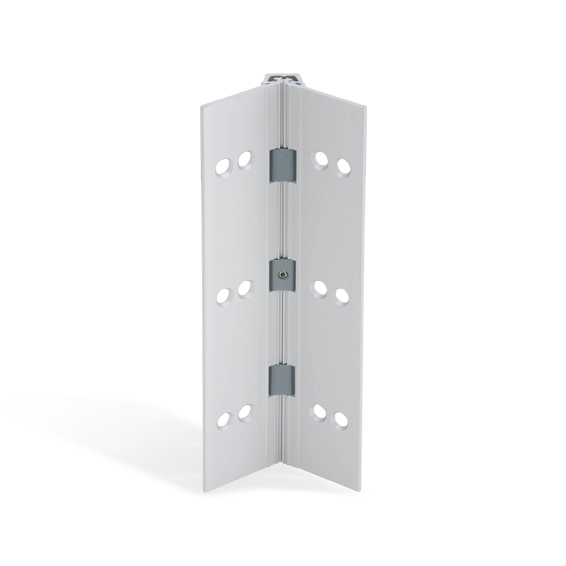 Continouos Hinges